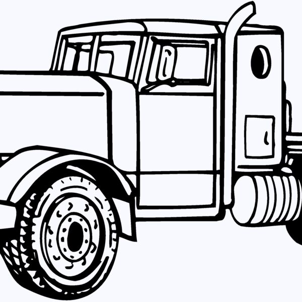 CAB15 Thumbnail