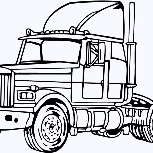 CAB17 Thumbnail