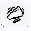 DTF Transfer A4 Page  Thumbnail