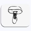 DTF Transfer A3 Page  Thumbnail